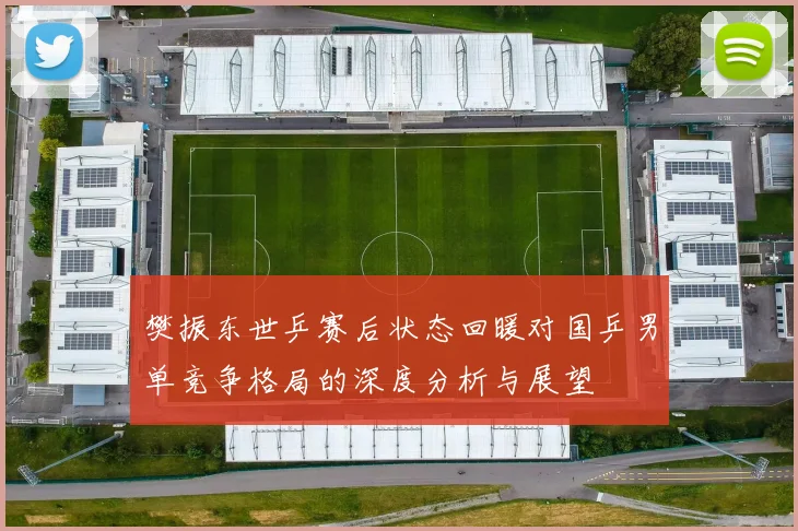 樊振东世乒赛后状态回暖对国乒男单竞争格局的深度分析与展望